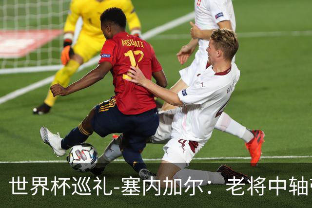 世界杯巡礼-塞内加尔：老将中轴带来安全感，非洲顶流前景可期！