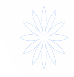 杏宇娱乐(中国)官方网站